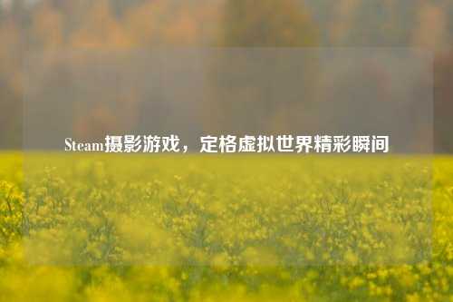 Steam摄影游戏,定格虚拟世界精彩瞬间