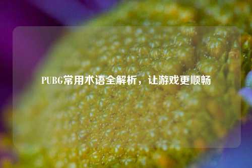 PUBG常用术语全解析，让游戏更顺畅