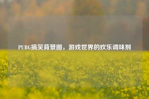 PUBG搞笑背景图,游戏世界的欢乐调味剂