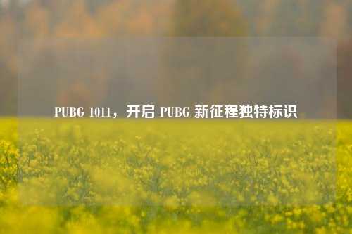 PUBG 1011,开启 PUBG 新征程独特标识