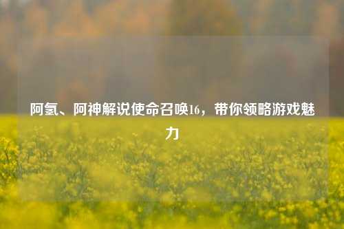 阿氢、阿神解说使命召唤16,带你领略游戏魅力