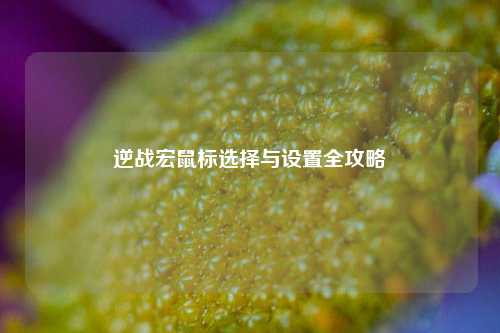 逆战宏鼠标选择与设置全攻略