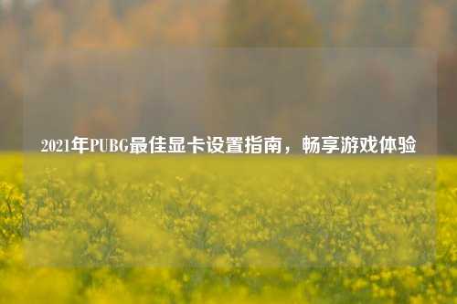 2021年PUBG更佳显卡设置指南，畅享游戏体验
