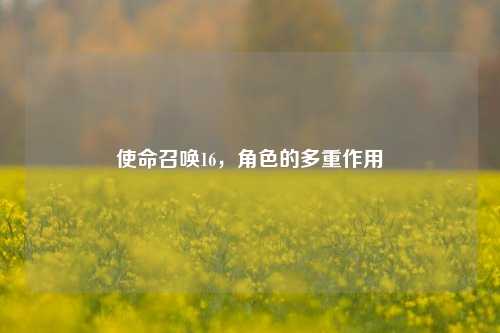 使命召唤16,角色的多重作用