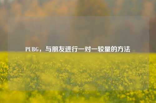 PUBG，与朋友进行一对一较量的     