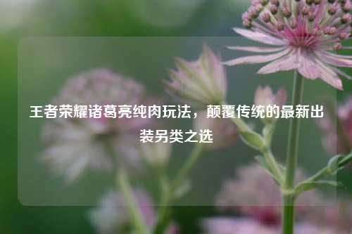 王者荣耀诸葛亮纯肉玩法，颠覆传统的最新出装另类之选