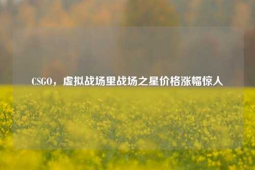 CSGO,虚拟战场里战场之星价格涨幅惊人