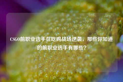 CSGO前职业选手在吃鸡战场逆袭，那些你知道的前职业选手有哪些？