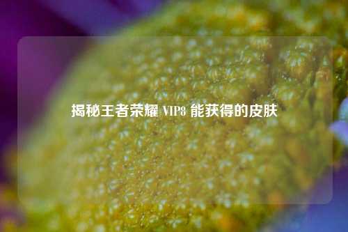 揭秘王者荣耀 VIP8 能获得的皮肤