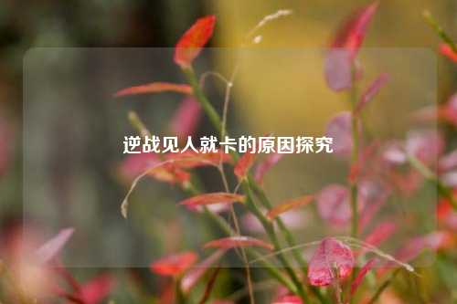 逆战见人就卡的原因探究