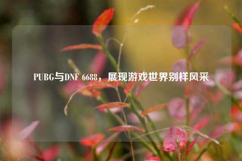PUBG与DNF 6688,展现游戏世界别样风采
