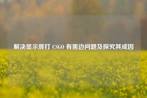 解决显示屏打 CSGO 有黑边问题及探究其成因