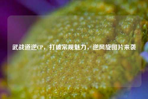武战道逆CP,打破常规魅力,逆风旋图片来袭