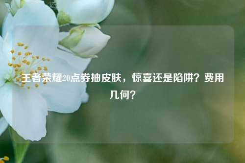 王者荣耀20点券抽皮肤,惊喜还是陷阱?费用几何?