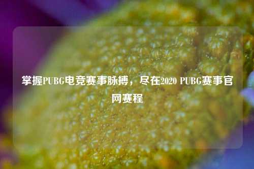掌握PUBG电竞赛事脉搏,尽在2020 PUBG赛事官网赛程