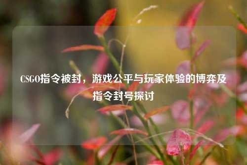 CSGO指令被封,游戏公平与玩家体验的博弈及指令封号探讨