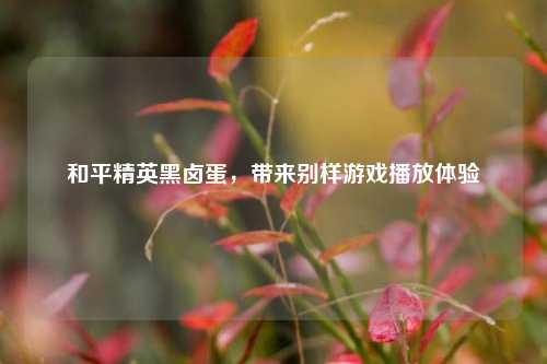 和平精英黑卤蛋，带来别样游戏播放体验