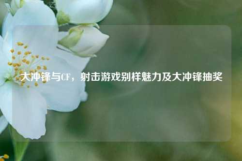大冲锋与CF,射击游戏别样魅力及大冲锋抽奖