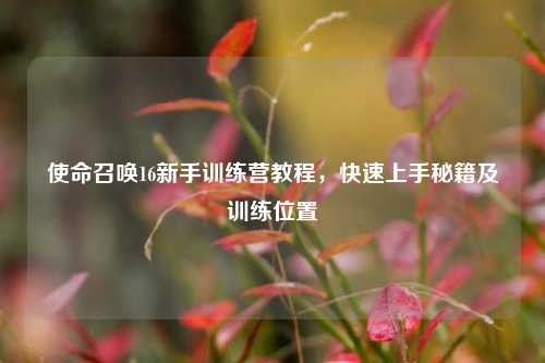 使命召唤16新手训练营教程,快速上手秘籍及训练位置
