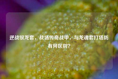逆战驭龙套,战场传奇战甲,与龙魂套打塔防有何区别?