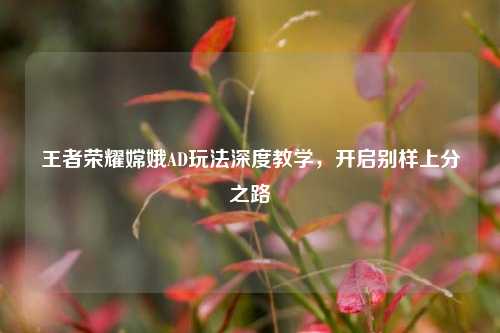 王者荣耀嫦娥AD玩法深度教学,开启别样上分之路