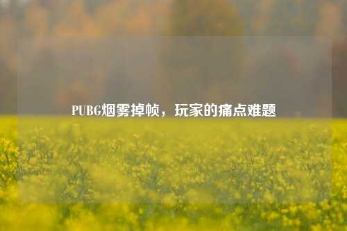 PUBG烟雾掉帧,玩家的痛点难题