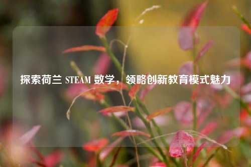探索荷兰 STEAM 数学,领略创新教育模式魅力