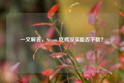 一文解答,Steam 吃鸡没买能否下载?
