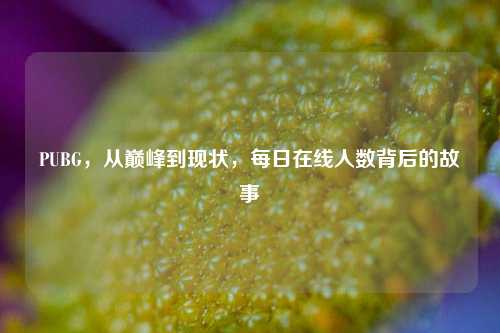 PUBG,从巅峰到现状,每日在线人数背后的故事