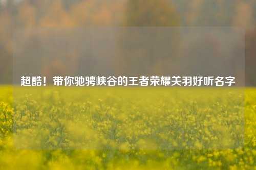 超酷！带你驰骋峡谷的王者荣耀关羽好听名字