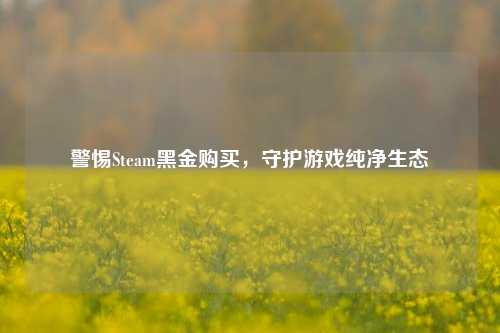 警惕Steam黑金购买,守护游戏纯净生态