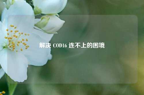 解决 COD16 连不上的困境