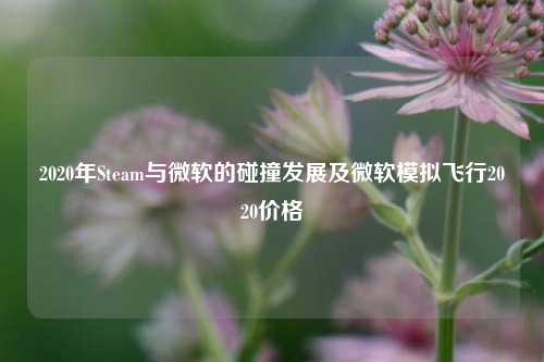 2020年Steam与微软的碰撞发展及微软模拟飞行2020价格