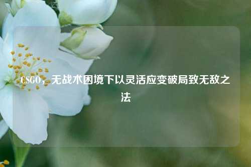 CSGO，无战术困境下以灵活应变破局致无敌之法