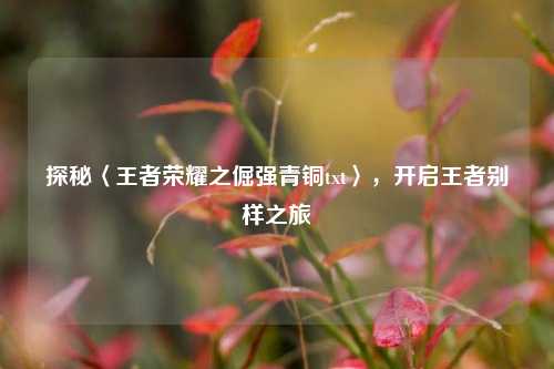 探秘〈王者荣耀之倔强青铜txt〉，开启王者别样之旅