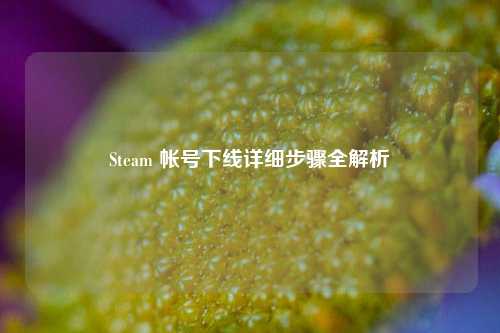Steam 帐号下线详细步骤全解析
