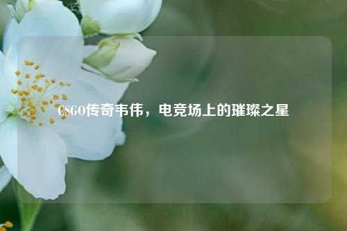 CSGO传奇韦伟,电竞场上的璀璨之星