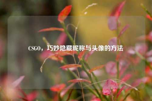 CSGO,巧妙隐藏昵称与头像的