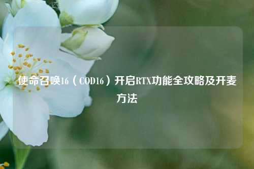使命召唤16（COD16）开启RTX功能全攻略及开麦方法