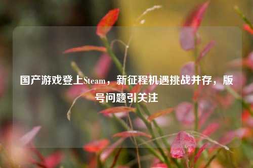 国产游戏登上Steam,新征程机遇挑战并存,版号问题引关注