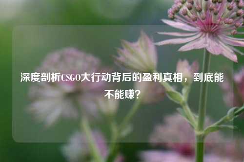深度剖析CSGO大行动背后的盈利真相，到底能不能赚？