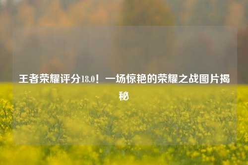 王者荣耀评分18.0！一场惊艳的荣耀之战图片揭秘