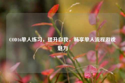 COD16单人练习，提升自我，畅享单人流程游戏魅力
