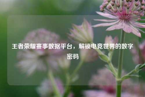 王者荣耀赛事数据平台，解锁电竞世界的数字密码